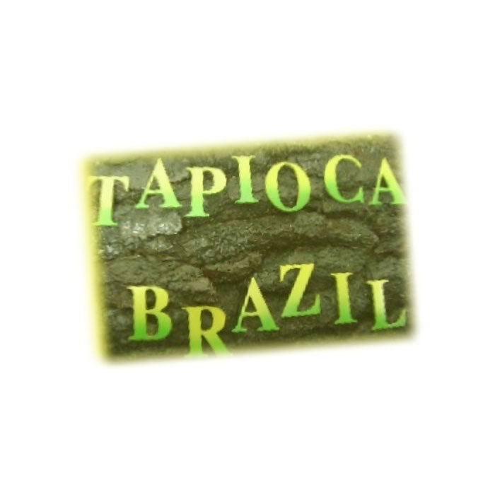 Tapioca Brazil